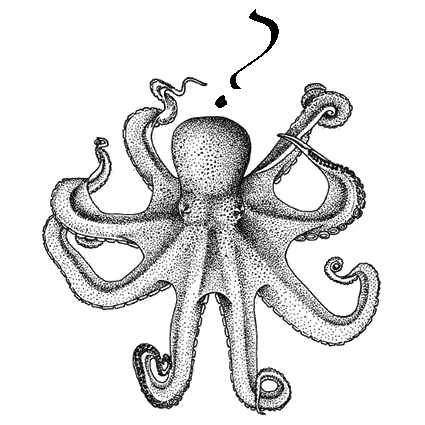 Questioning octopus